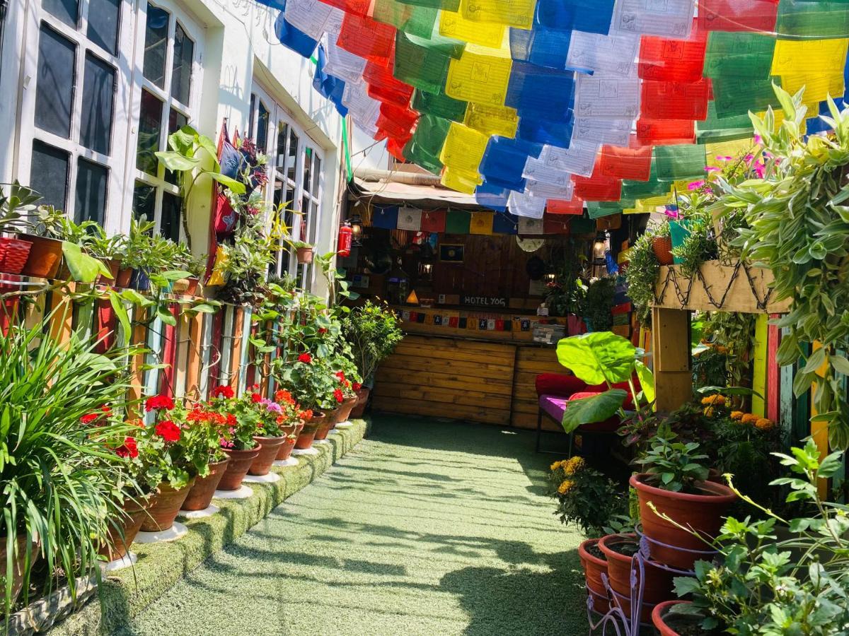 Yog Hostel Катманду Екстер'єр фото